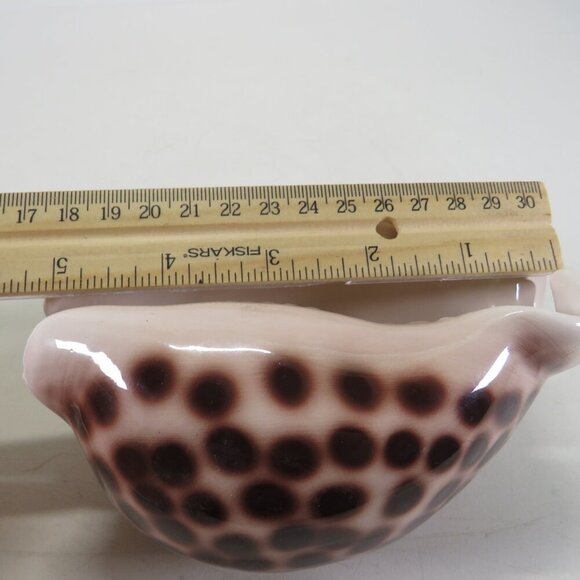 Ceramic Sea Shell Dish - Planter Cowrie Shell Brown Spotted - Picture 9 of 14